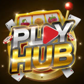 playhub gaming